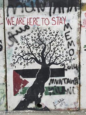 A l’occasion de la Journée de la terre en Palestine, le Comité Action Palestine vous invite à une projection-débat du film